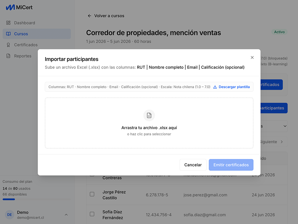 Importar participantes desde Excel